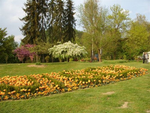Oglejte si še nekaj posnetkov iz Arboretuma ....